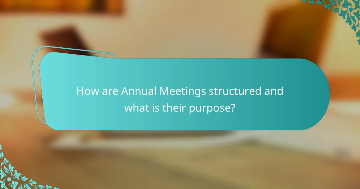 How are Annual Meetings structured and what is their purpose?