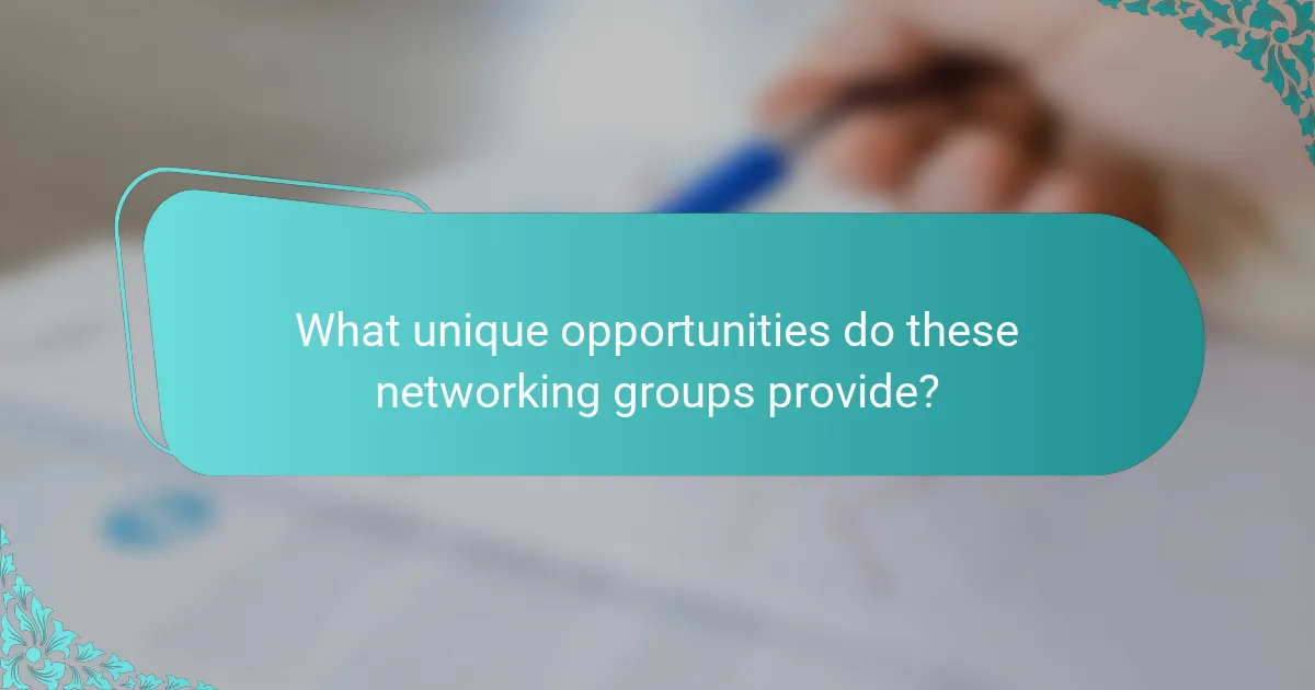 What unique opportunities do these networking groups provide?